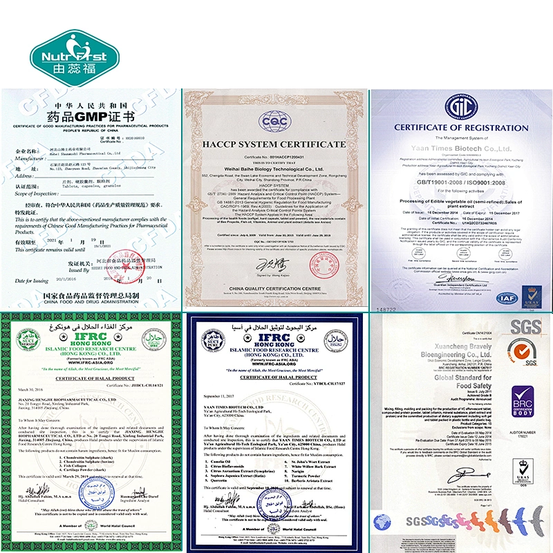 Suplemento de hierbas de hongos de personalización del proveedor de cápsulas de polvo de extracto de hongo Chaga orgánico