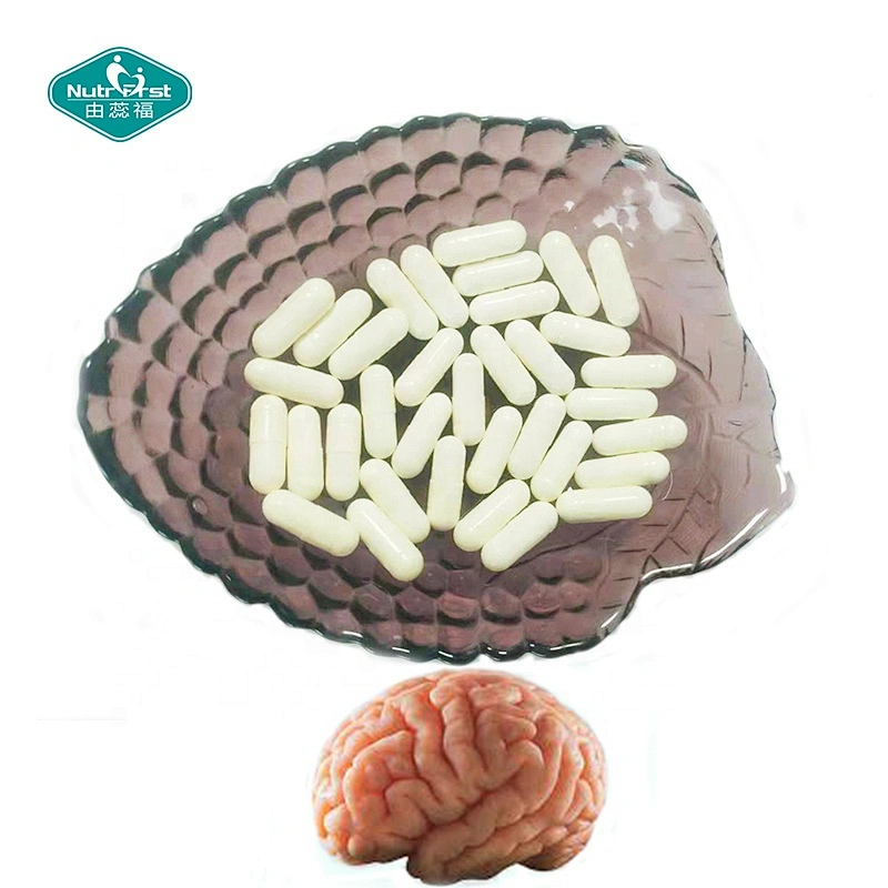 Nutrifirst B Complex Supplements B12 Bacopa Phosphatidylserine Ginkgo Rhodiola Vitamin B3 Capsules in Bulk