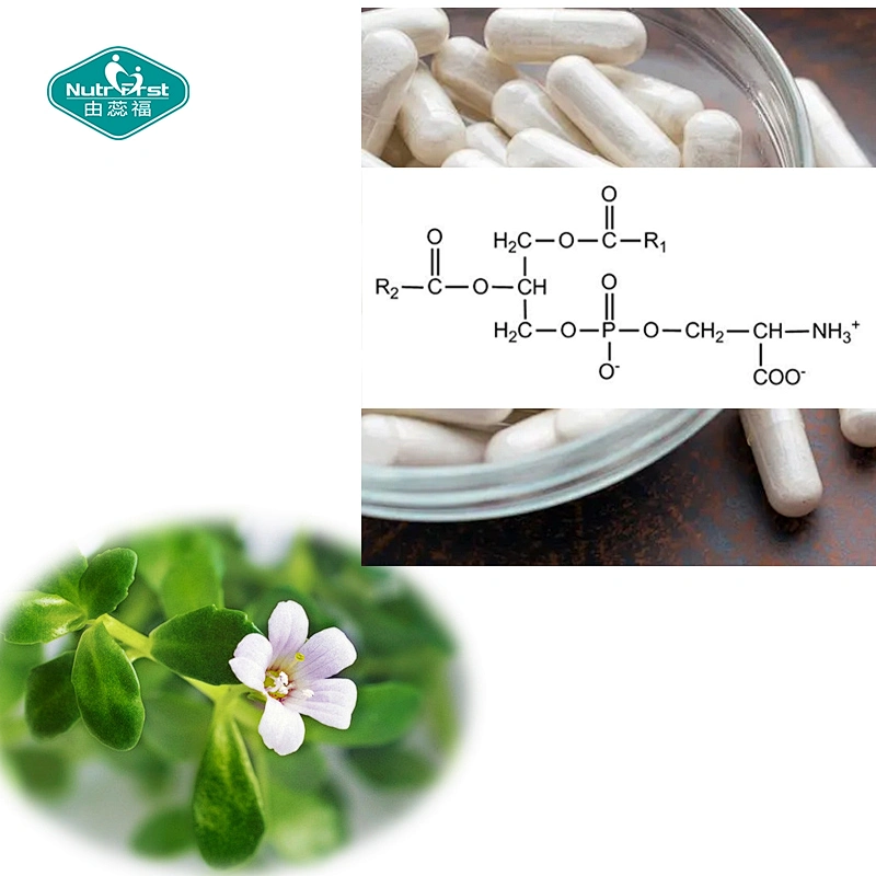 OEM Private Label Nerve Health GABA Phosphatidylserine Alpha GPC Vegan Capsule Pill