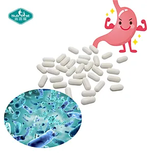 OEM Probiotic Capsules for Men & Women Improve Gut Health