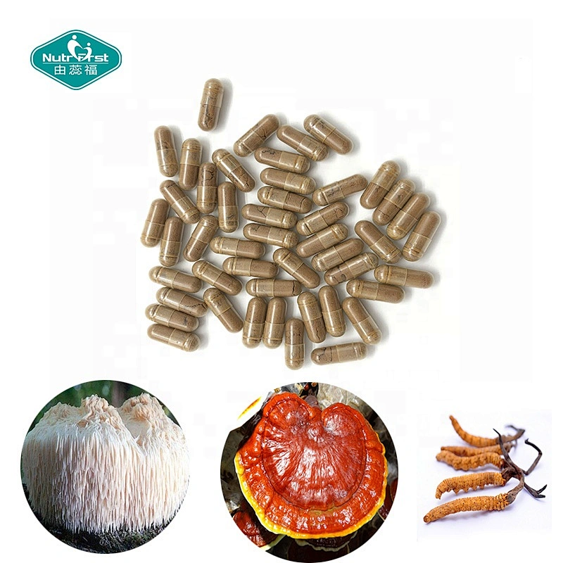 Mejorar la función cerebral Suplemento Reishi Mushroom Lion's Mane Ganoderma Cordyceps Sinensis Cápsulas de extracto