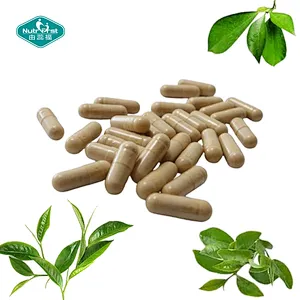 Nutrifirst Green Tea Capsules Rich in Polyphenols Antioxidant Support Boosts Immune System Dietary Supplement
