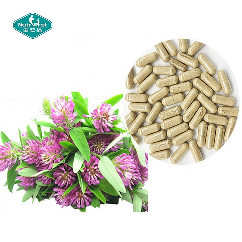 Fórmula de apoyo para la menopausia, Trifolium Pratense, extracto de trébol rojo en polvo, cápsulas de formononetina en polvo
