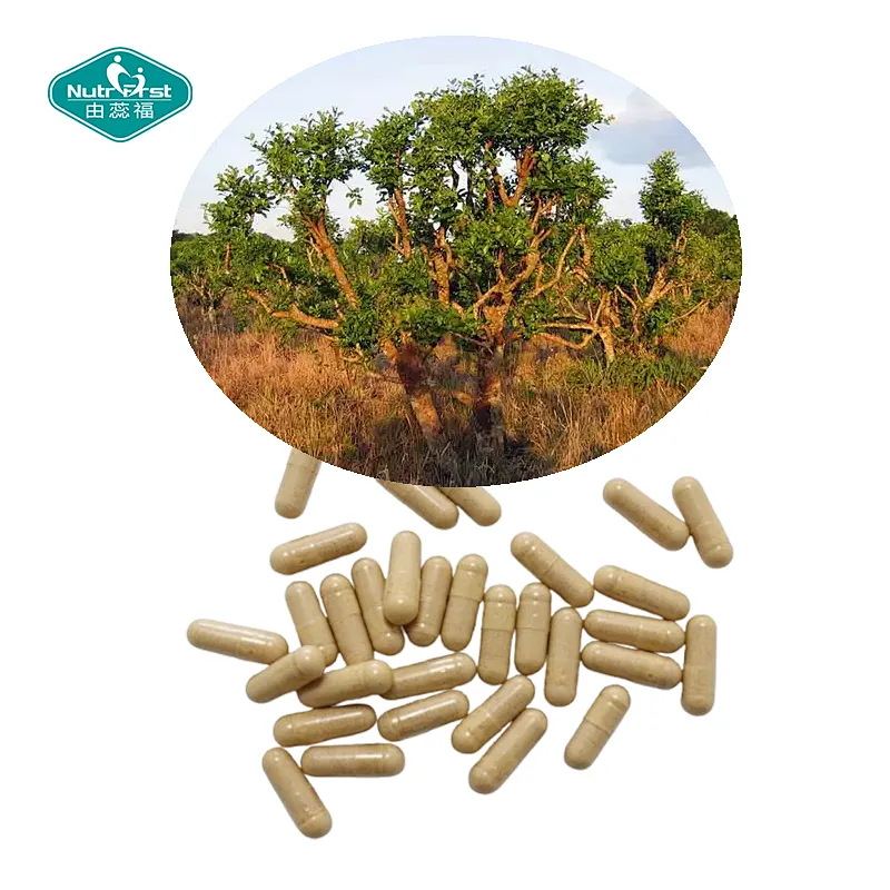 Nutrifirst Custom Customization OEM Improve Athletic Performance Yohimbe Extract Capsules for Man