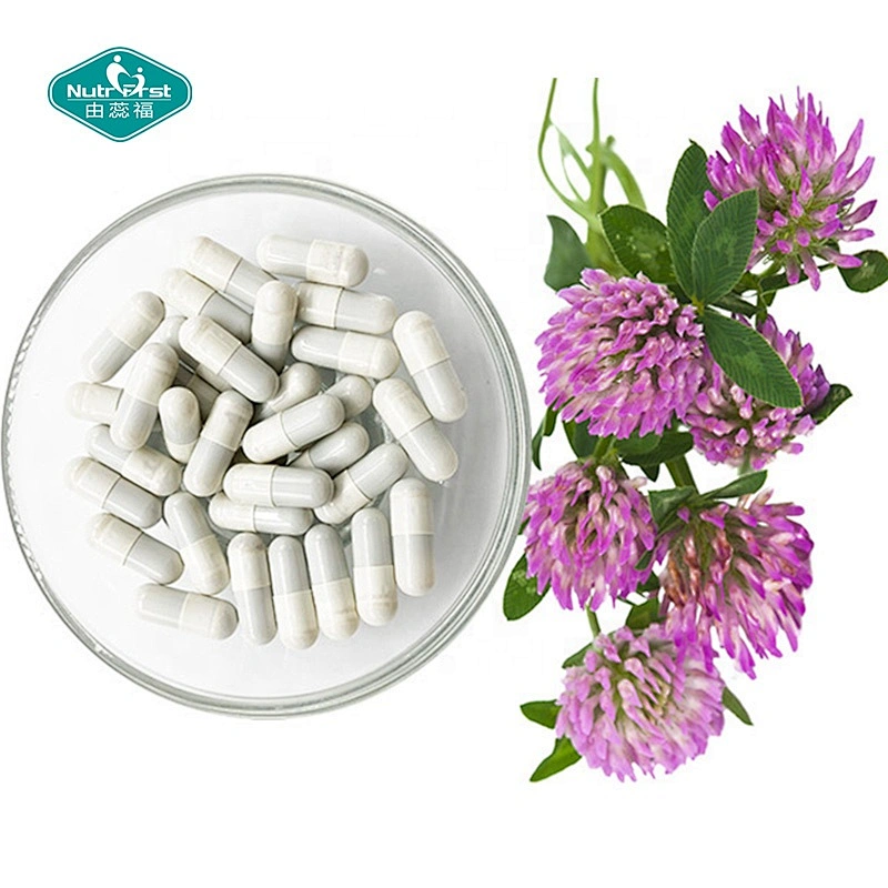 Fórmula de apoyo para la menopausia, Trifolium Pratense, extracto de trébol rojo en polvo, cápsulas de formononetina en polvo