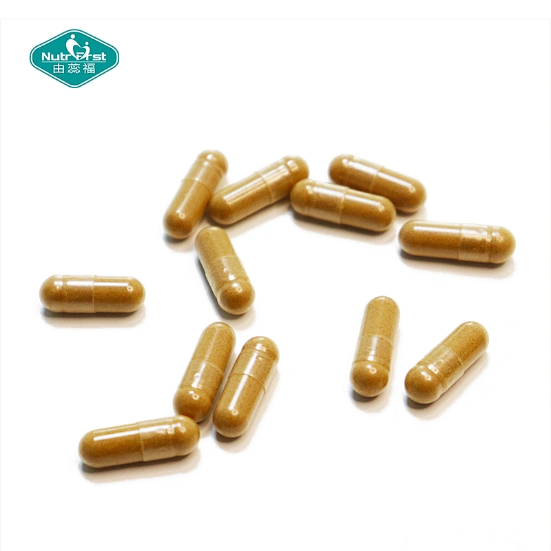 Nutrifirst Diet Supplement Herbal Blend Fat Hormone Enhance Iodine Rhodiola Coleus Forskohlii Vegan Capsule in Bulk