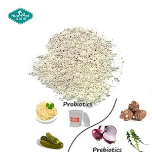 Probiotics Supplements Solid Beverage Probiotics Multi-Strains Premix Instant Drink Powder with Sachet Packing