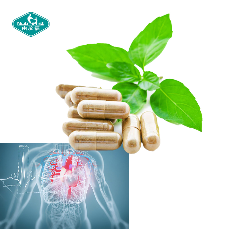Nutrifirst L Arginina Suplemento masculino Óxido nítrico L-Arginina Cápsula potente para la salud vascular