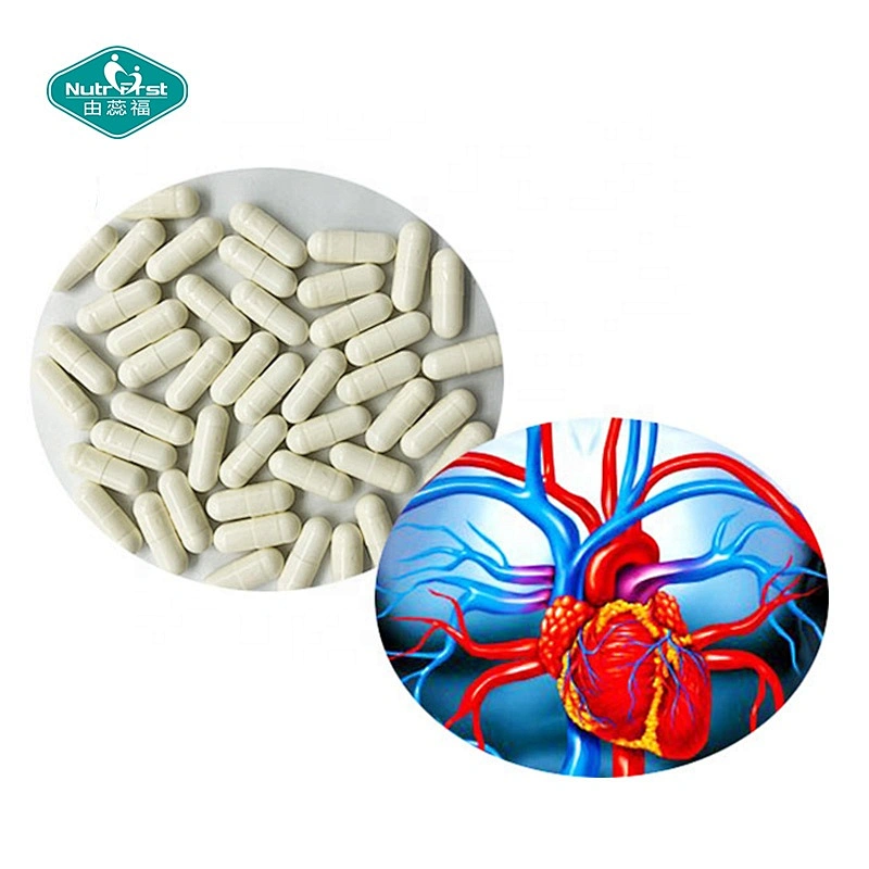 Nutrifirst Custom Label Herbal Supplements Organic Natto Extract Nattokinase Capsules