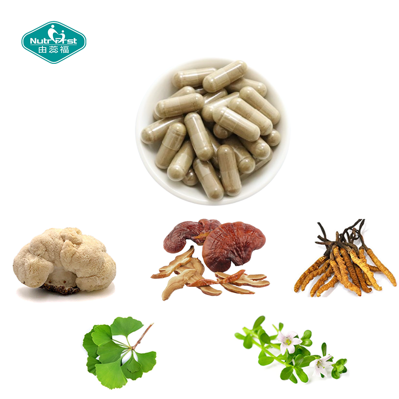 Nutrifirst Custom Customization OEM Mushroom Blend Powder Boosts Energy Improve Memory Brain Support Capsules