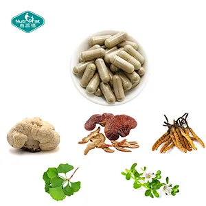 Nutrifirst Custom Customization OEM Mushroom Blend Powder Boosts Energy Improve Memory Brain Support Capsules