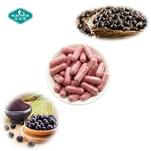 Nutrifirst Dietary Supplement Acai Berries Capsules Benefits for Blood System Dietary Supplement in Bulk