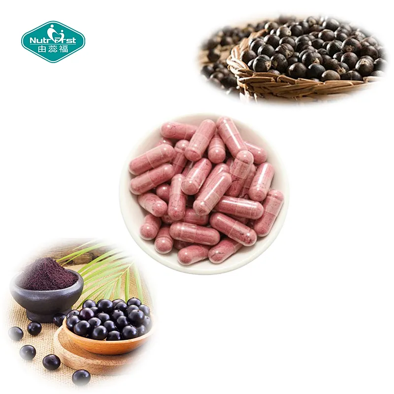 Nutrifirst Dietary Supplement Acai Berries Capsules Benefits for Blood System Dietary Supplement in Bulk