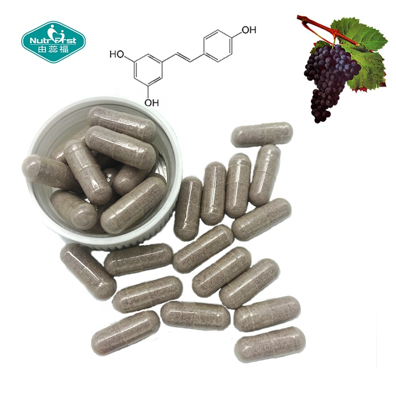 Customized Organic Polygonum Cuspidatum Extract Powder Resveratrol Extract 99% Capsules in Bulk