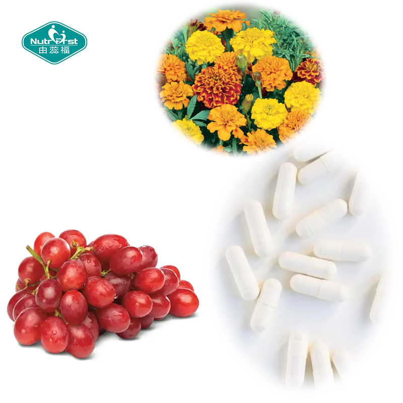 Health Brain Supplement Nootropic Function Enhancement Marigold Grape Lutein Zeaxanthin Vegan Caspule