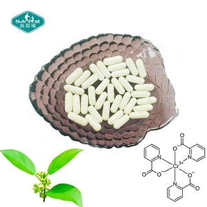 Nutrifirst suplementos de función pancreática vitamina C quitosano Gymnema Sylvestre extracto cromo cápsulas personalización