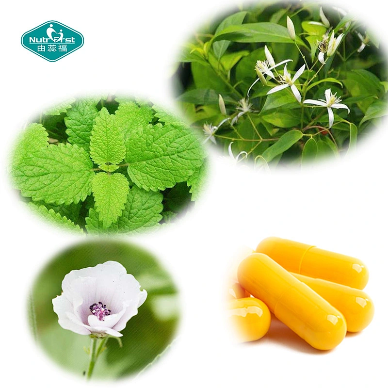 Healthy Supplement Relief Bloat Herbal Capsule Marshmallow Lemon Balm Fennel Extract Vegan Capsule