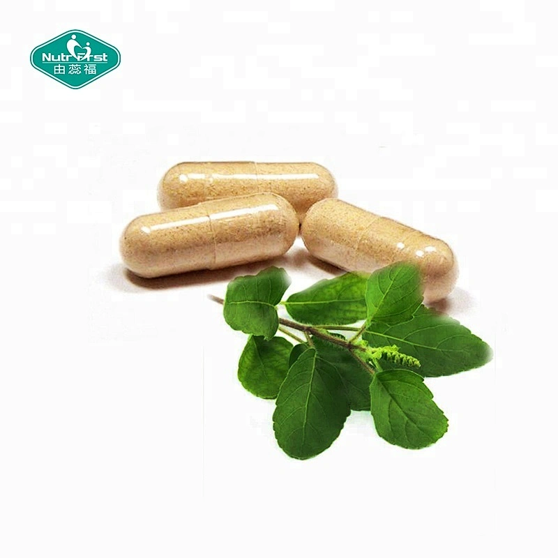 Withania Somnifera Extract Ashwaganda Organic Root Extract Powder Vegan Capsules for Relieve Pressure Sleeping