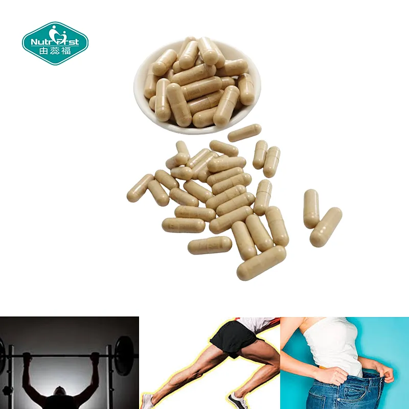 Nutrifirst Weight Management&Appetite Suppressant Capsules With L-Carnitine Green Tea Extract Dietary Supplement