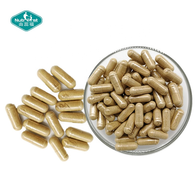 Nutrifirst Herbal Supplement Organic Ganoderma Mushroom Seed Extract Pill Lingzhi Spore Powder Capsules