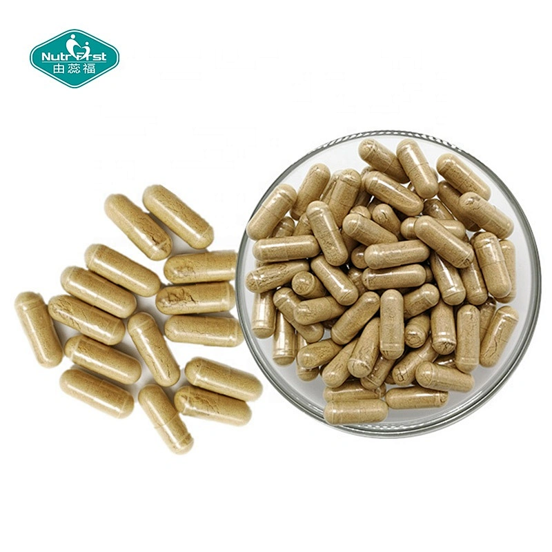 Nutrifirst Herbal Supplement Organic Ganoderma Mushroom Seed Extract Pill Lingzhi Spore Powder Capsules