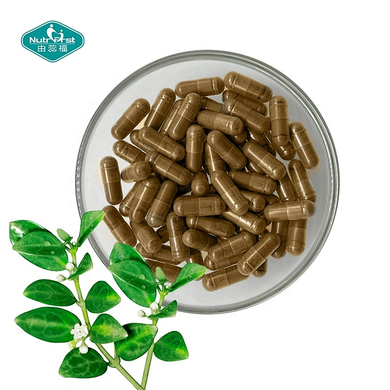 Benefits for Blood System Supplements Vegan Organic Gymnema Sylvestre  P.E. Extract Capsules with Ceylon Cinnamon