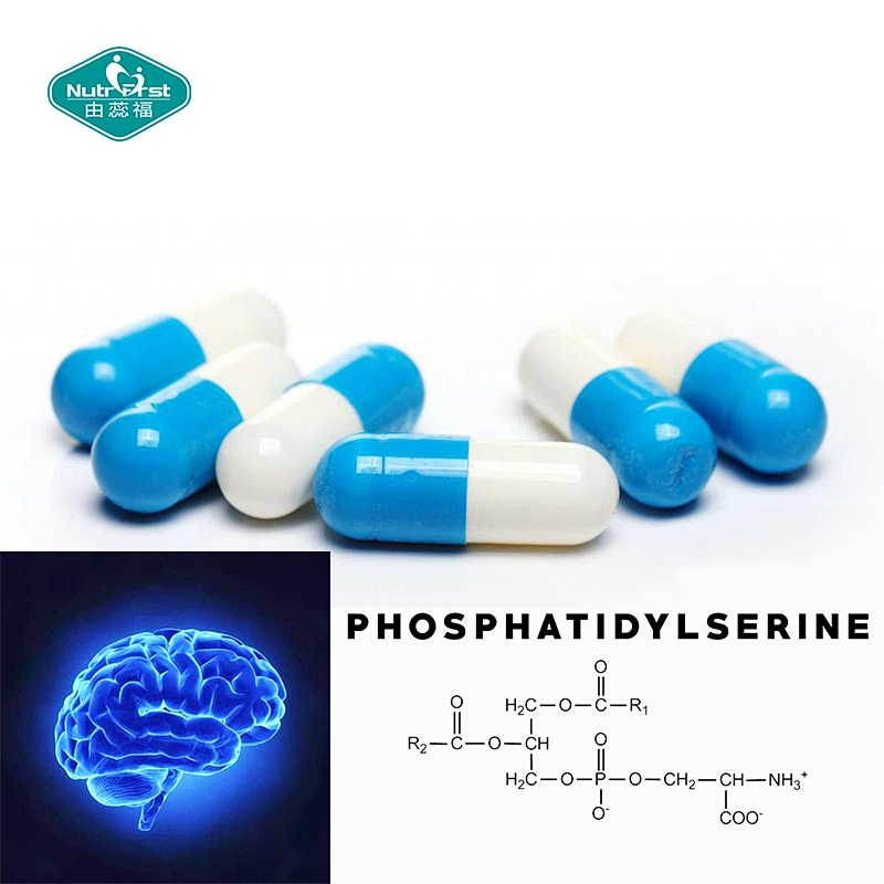 Memory Supplements Coffee Fruit Extract Vitamin B3 B6 B12 Supplier Phosphatidylserine Capsules for Brain Health