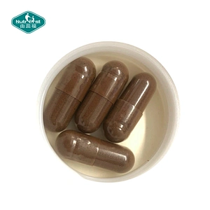Suplemento de hierbas de hongos de personalización del proveedor de cápsulas de polvo de extracto de hongo Chaga orgánico