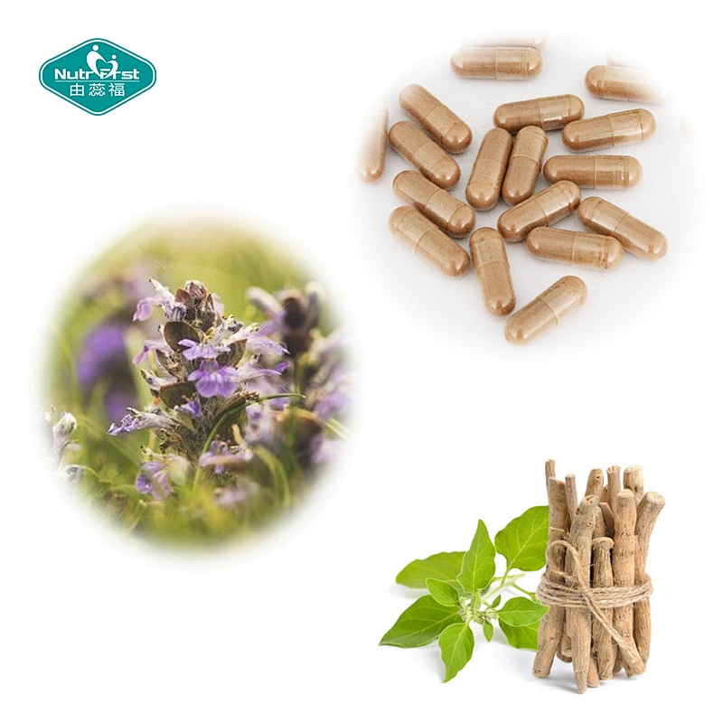 Nutrifirst Athletes Sport Supplement Customize Service Ecdysteroids Ashwagandha Vitamin E Capsules for Adipose Burner