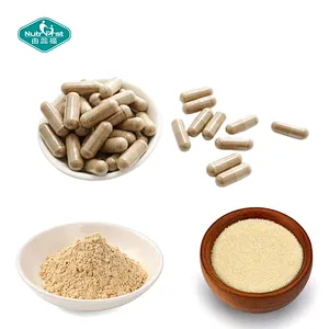 Nutrifirst Fabricación de marca privada OEM Suplementos de salud Cápsulas de probióticos