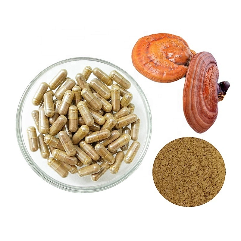 Chinese Herbal Supplements Organic Ganoderma Powder Capsule Herb Reishi Mushroom Lingzhi Extract Pills