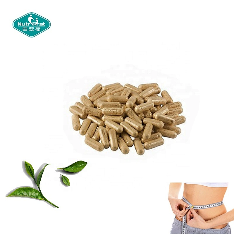 Formulación a medida extracto de té verde descafeinado delgado suplementos de hierbas quemador de grasa cápsulas de catequina