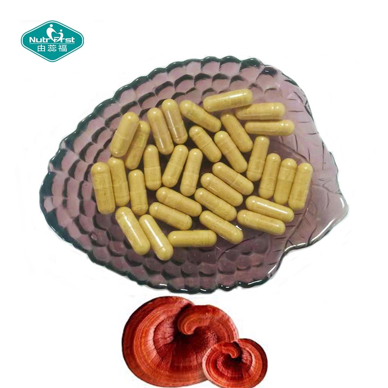 Herbal Supplements Cordyceps Lions Mane Reishi Extract Mushroom Blend Powder Capsules