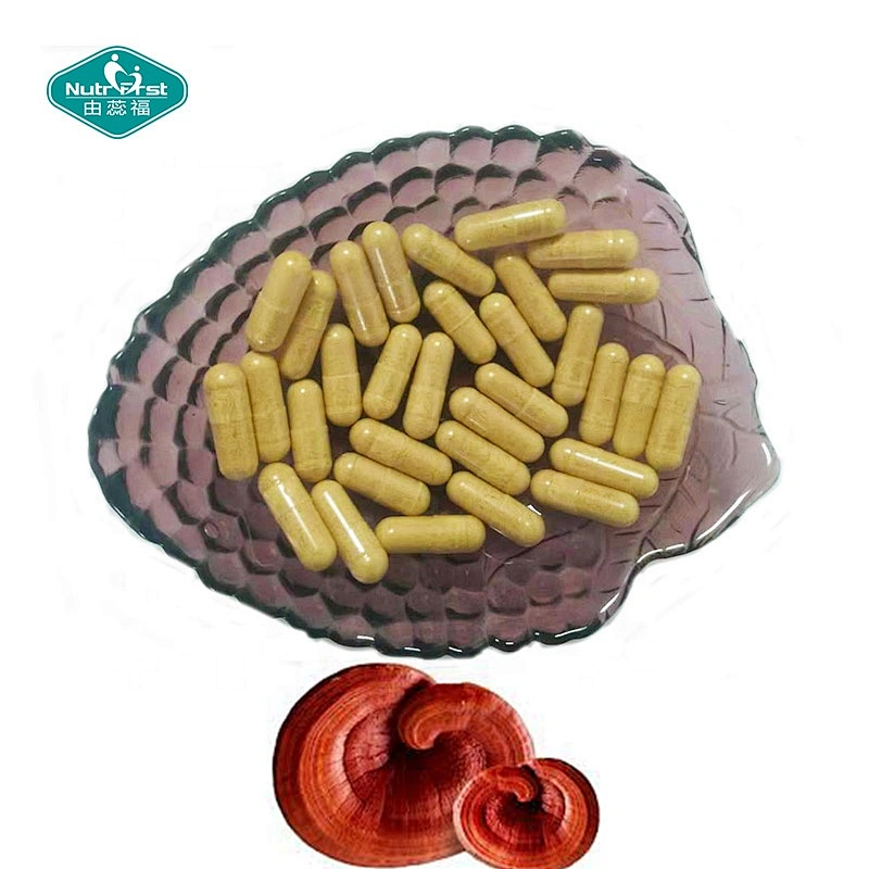 Herbal Supplements Cordyceps Lions Mane Reishi Extract Mushroom Blend Powder Capsules