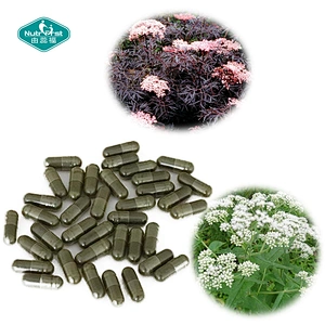 Nutrifirst High Quality Natural Herbal Extract Elderberry Forsythia Veggie Capsules