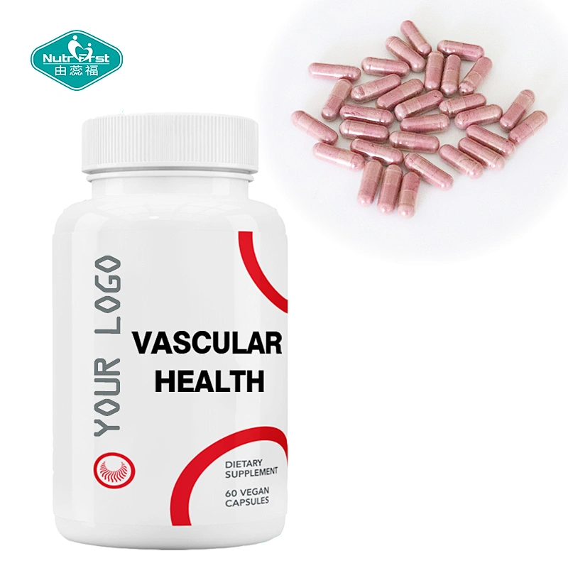 Dietary Supplement Newest Formula Herbal Extract Nutrients Vegan Capsules for Vascular Health