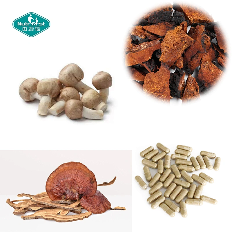 Nutrifirst Wholesale Immune Response Balance 7 Cápsula de extracto de micelio de hongos para la salud inmune