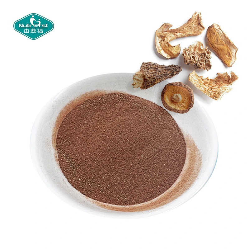 Bulk Supplement Reishi Lions Mane Cordyceps Chaga Maitake Shiitake Mushroom Superfood Blend Capsules