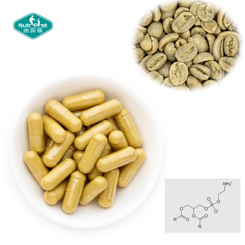 Suplemento de soporte cerebral nootrópico vitamina B6 B12 folato cápsula de extracto de grano de café fosfatidilserina
