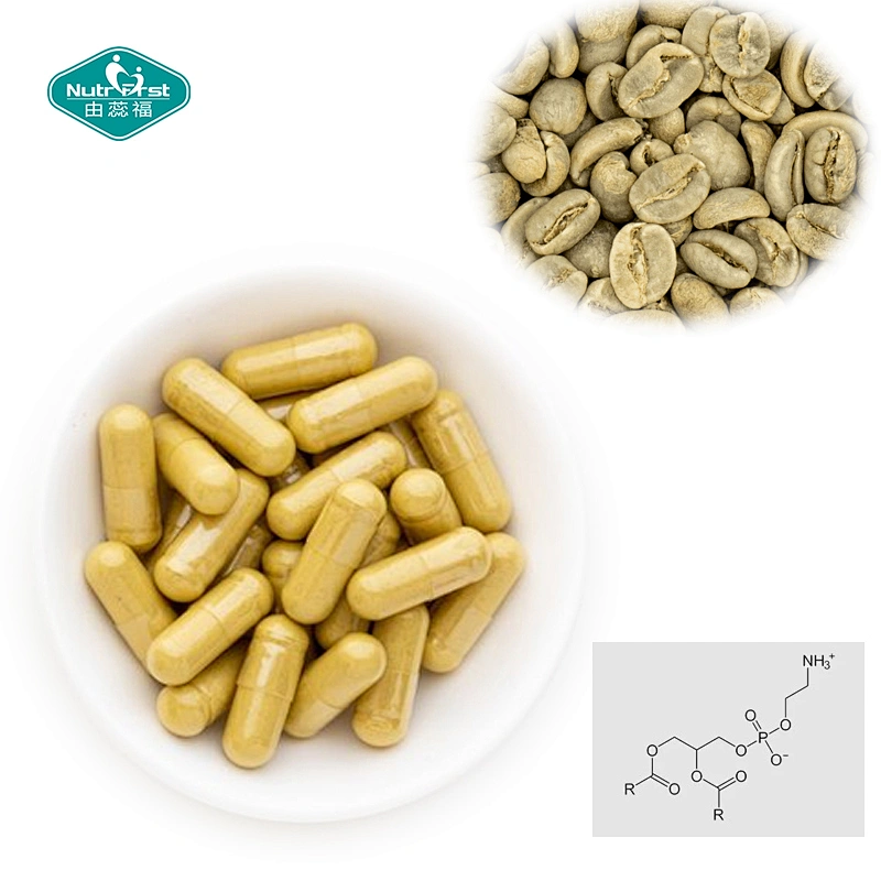 Suplemento de soporte cerebral nootrópico vitamina B6 B12 folato cápsula de extracto de grano de café fosfatidilserina