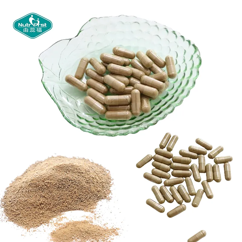 Nutrifirst Wild Yam Root Capsules Traditional Women's Health and Gastrointestinal Support Dietary Supplement