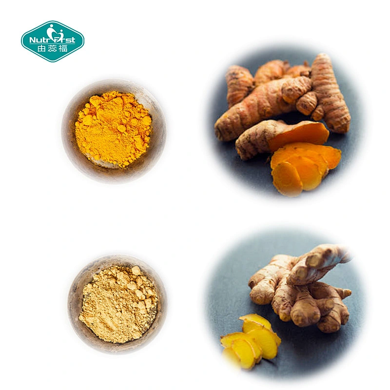 Nutrifirst Private Label Customized Turmeric Extract Veggie Powder Capsule