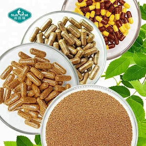 Nutrifirst White Label Hsupplements Panax Ginseng Korean Red Ginseng Extract Capule for Adults