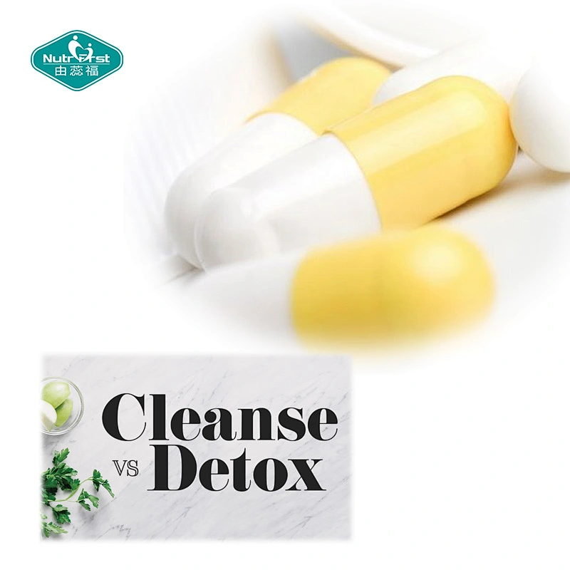 Contrato Nutrifirst Fabricante personalizado Body Detox Digest Support Cápsulas de hierbas a granel para un intestino potente