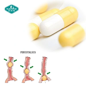 Nutrifirst Contract Customized Manufacturer Body Digest Support Herbal Capsules in Bulk for Powerful Intestine