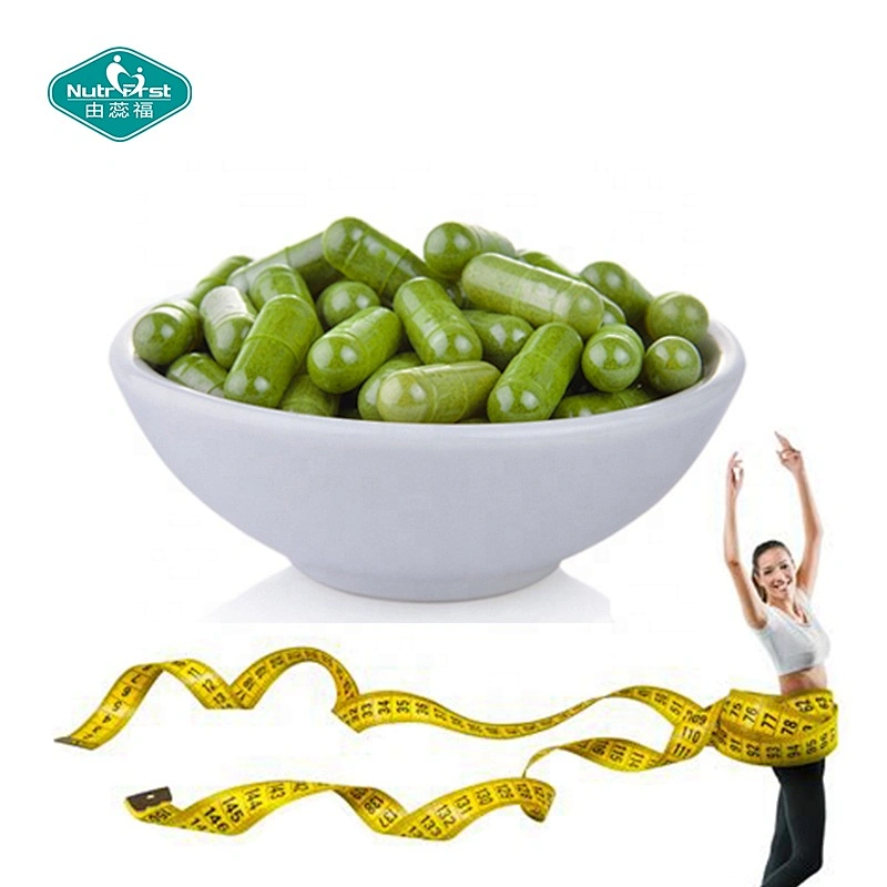 Nutrifirst Organic Moringa Oleifera Extract Capsules Health Care Products Moringa Supplement Customization