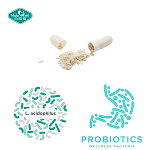 Manufacture OEM Benefits for Skin & Gut Health Digestive Probiotic Capsules