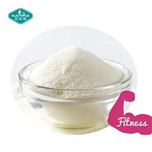 Bebida en polvo de aminoácidos Keto Pre Workout con creatina
