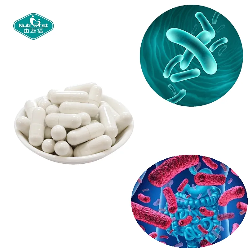 Manufacture OEM Benefits for Skin & Gut Health Digestive Probiotic Capsules