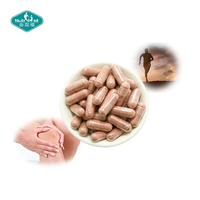 Nutrifirst Custom Customization OEM Herbal Extract Cissus Quadrangularis Extract Capsules